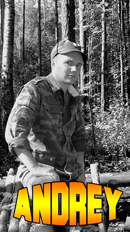 military army